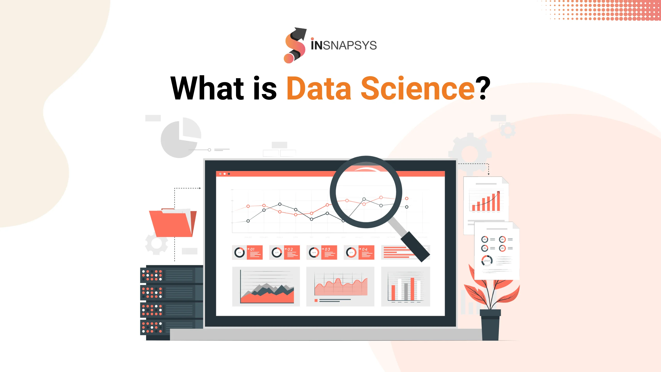 Understanding Data Science: An Overview